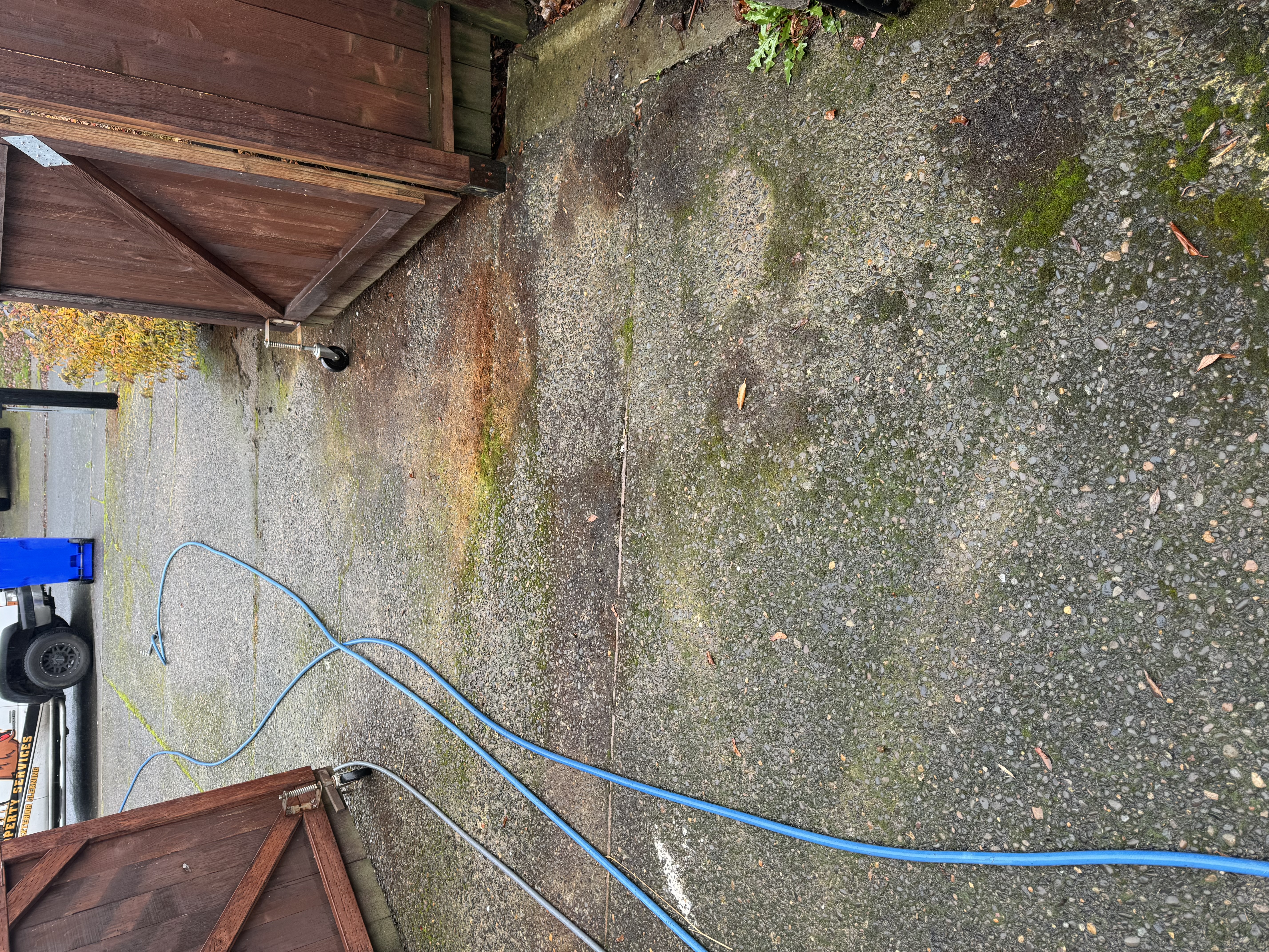 Patio covered in moss and grime