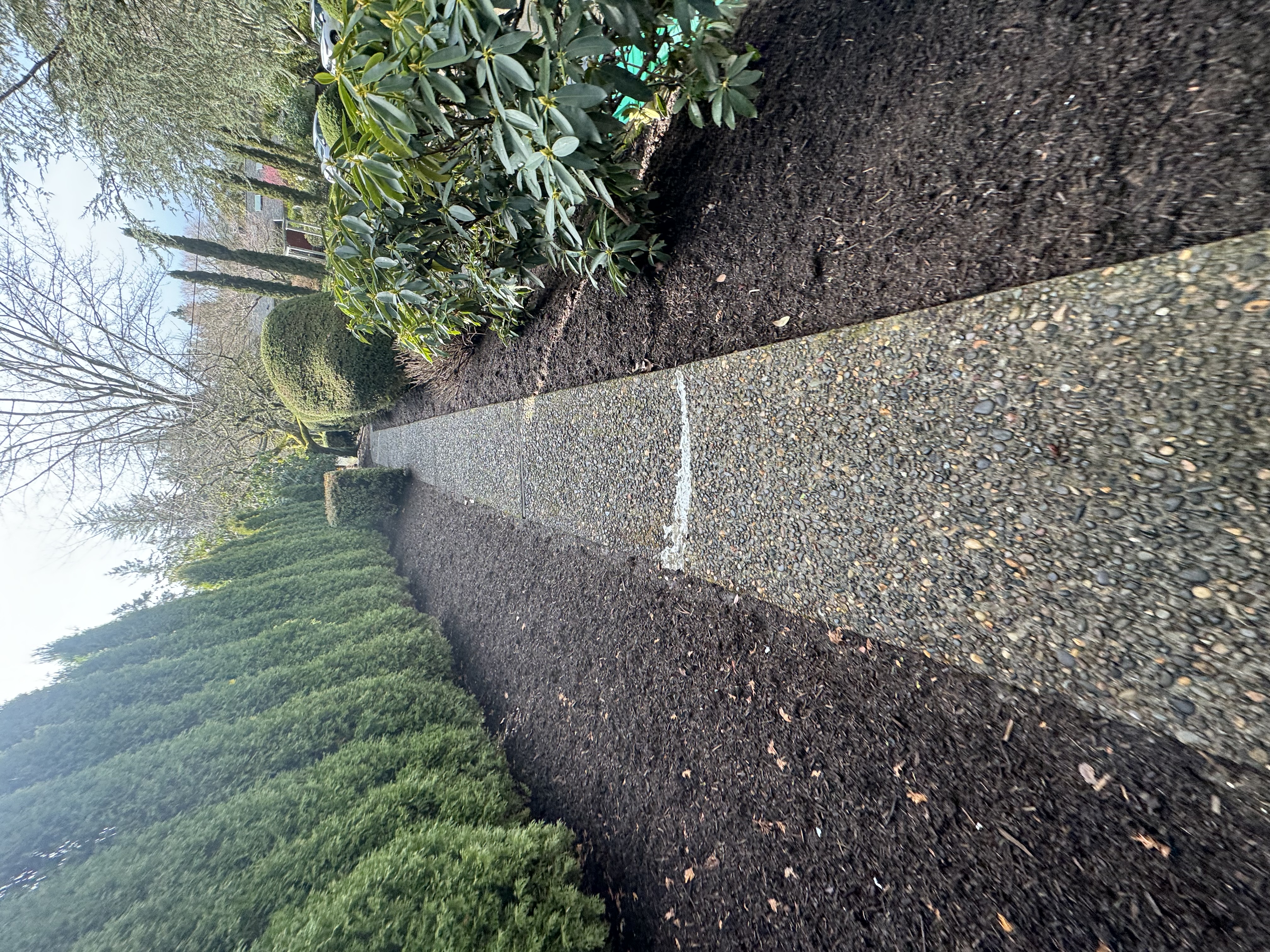 Clean driveway after pressure washing