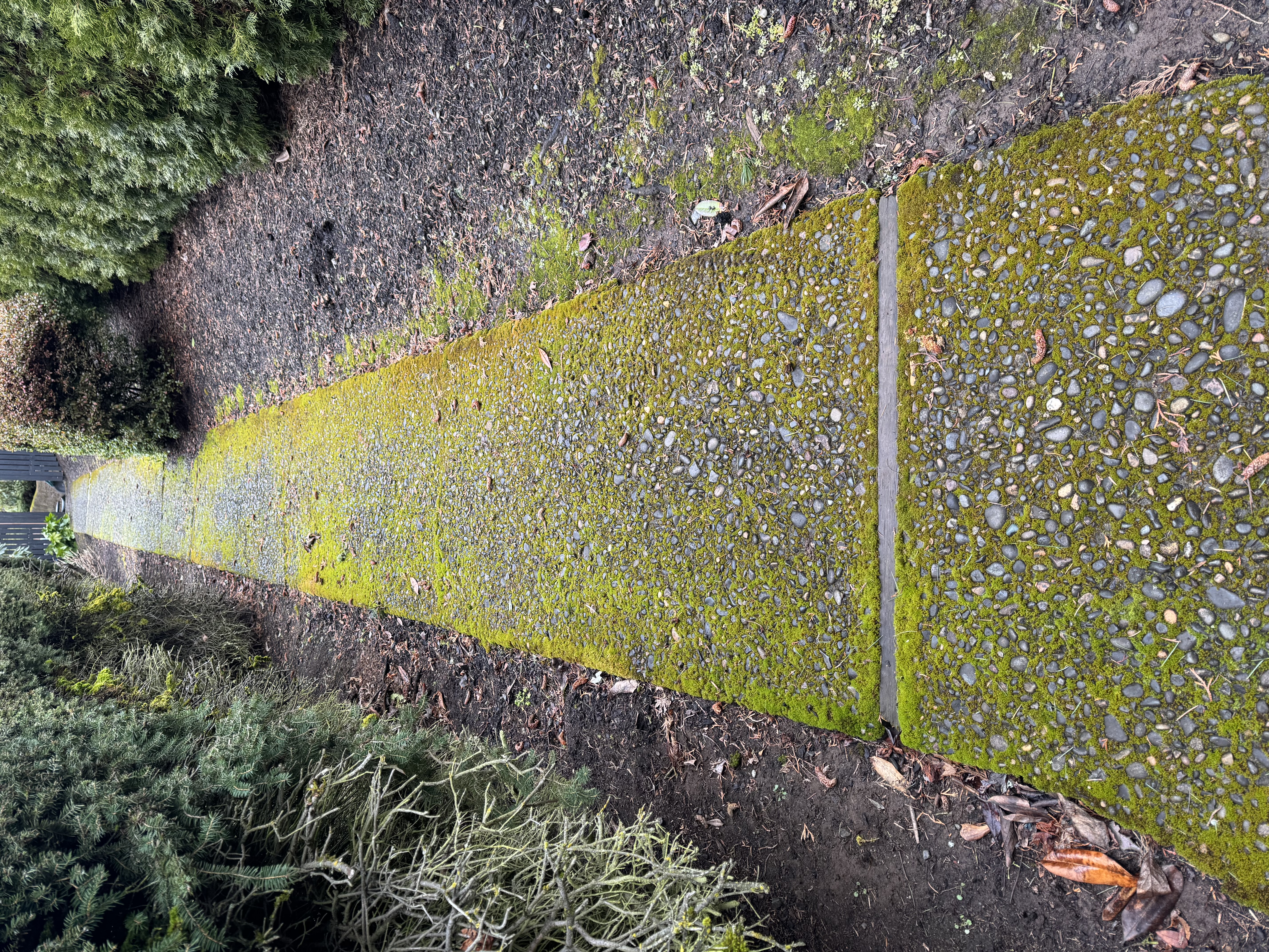 Dirty surface before pressure washing
