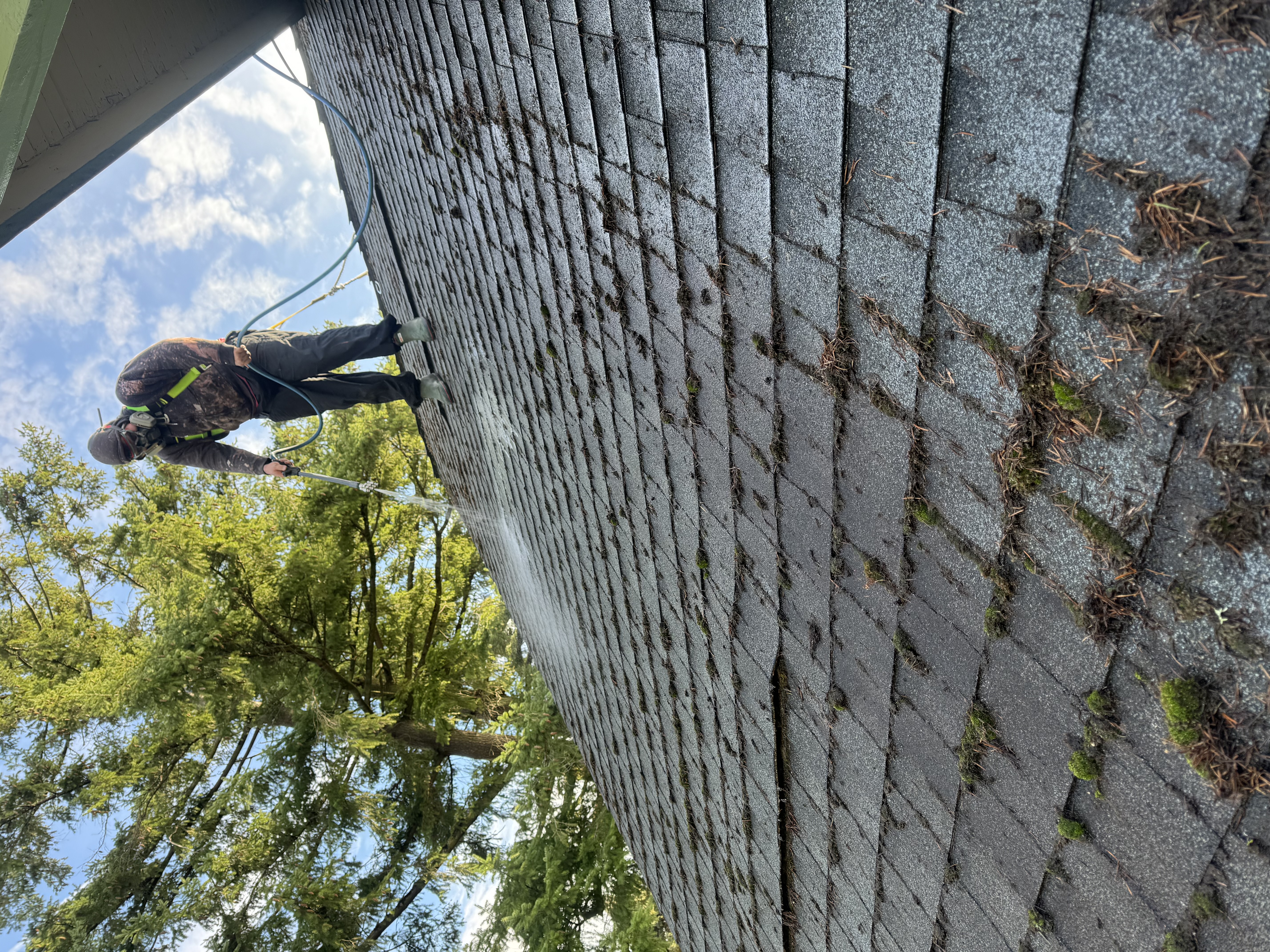 Professional roof washing