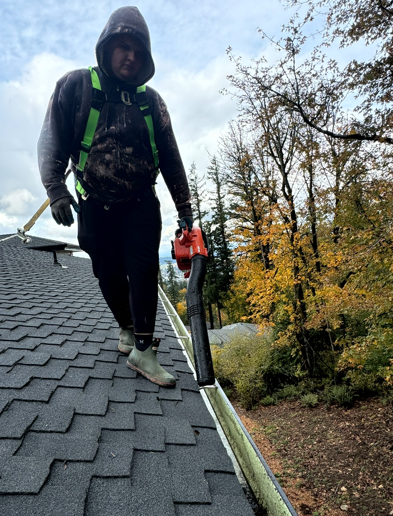 Gutter cleaning service